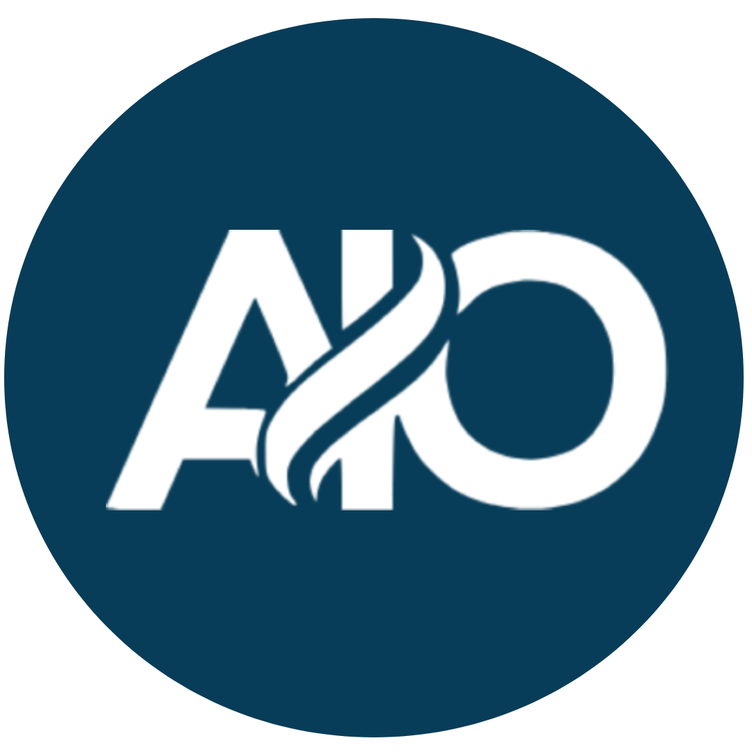 AIO – A Leading Digital Marketing Agency In Lahore